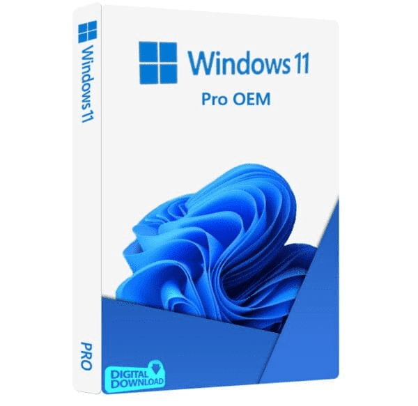 Windows 11 Professional Windows 11 Professional